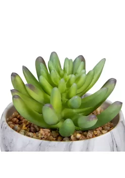 Top 10 😍 Northlight 4.25" Green Artificial Succulent in Faux Marble Pot 🤩 -Outlet Northlight Store Belk 785