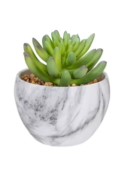 Top 10 😍 Northlight 4.25" Green Artificial Succulent in Faux Marble Pot 🤩 -Outlet Northlight Store Belk 787