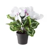 Best reviews of 🎁 Northlight 12" Potted White Hedychium Coronarium Artificial Floral Arrangement 👍 -Outlet Northlight Store Belk 79