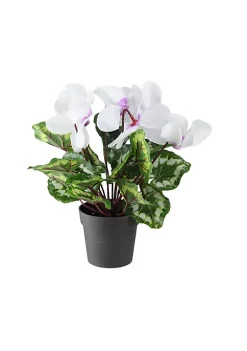 Best reviews of 🎁 Northlight 12" Potted White Hedychium Coronarium Artificial Floral Arrangement 👍