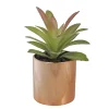 Wholesale 🧨 Northlight 5" Green Artificial Aloe Plant in a Rose Gold Pot ✔️ -Outlet Northlight Store Belk 795