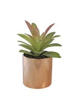 Wholesale 🧨 Northlight 5" Green Artificial Aloe Plant in a Rose Gold Pot ✔️
