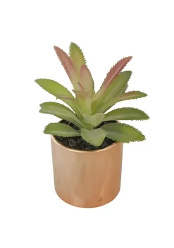 Wholesale 🧨 Northlight 5" Green Artificial Aloe Plant in a Rose Gold Pot ✔️ -Outlet Northlight Store Belk 797