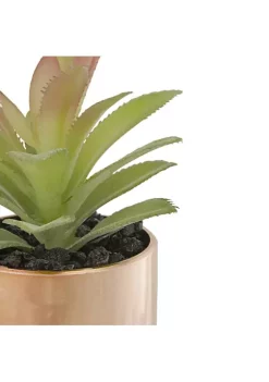 Wholesale 🧨 Northlight 5" Green Artificial Aloe Plant in a Rose Gold Pot ✔️ -Outlet Northlight Store Belk 798