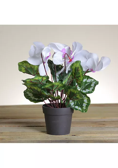 Best reviews of 🎁 Northlight 12" Potted White Hedychium Coronarium Artificial Floral Arrangement 👍 4 Best reviews of 🎁 Northlight 12" Potted White Hedychium Coronarium Artificial Floral Arrangement 👍 - Image 2