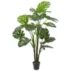 Best deal 🎁 Northlight 5' Potted Wide Leaf Green Monstera Artificial Floor Plant 👍 -Outlet Northlight Store Belk 824