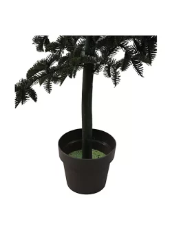 Outlet Northlight Store -Outlet Northlight Store Belk 830