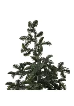 Best Sale 👏 Northlight 6.5' Potted Green Spruce Artificial Topiary Tree – Unlit 💯 -Outlet Northlight Store Belk 832