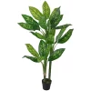 Best reviews of 🔥 Northlight 59" Artificial Wide Leaf Green Dieffenbachia Potted Plant 🤩 -Outlet Northlight Store Belk 846