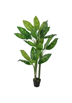 Best reviews of 🔥 Northlight 59" Artificial Wide Leaf Green Dieffenbachia Potted Plant 🤩