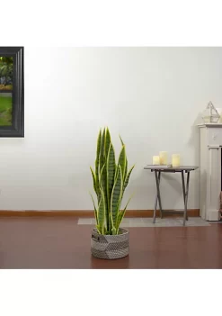 Deals 🔔 Northlight 29" Artificial Potted Green Striped Leaf Dracaena Snake Plant 👏 8 Deals 🔔 Northlight 29" Artificial Potted Green Striped Leaf Dracaena Snake Plant 👏 -Outlet Northlight Store Belk 852