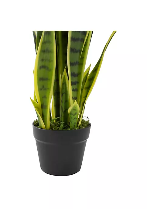 Deals 🔔 Northlight 29" Artificial Potted Green Striped Leaf Dracaena Snake Plant 👏 6 Deals 🔔 Northlight 29" Artificial Potted Green Striped Leaf Dracaena Snake Plant 👏 - Image 4