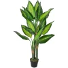 Flash Sale ✨ Northlight 51" Artificial Wide Leaf Green Dieffenbachia Potted Plant 🥰 -Outlet Northlight Store Belk 859