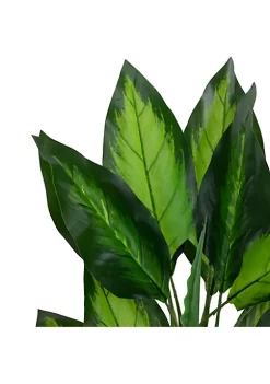 Flash Sale ✨ Northlight 51" Artificial Wide Leaf Green Dieffenbachia Potted Plant 🥰 -Outlet Northlight Store Belk 861