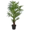 Best Pirce ✔️ Northlight 42" LED Lighted Potted Artificial Ravenea Palm Plant 🔥 -Outlet Northlight Store Belk 869