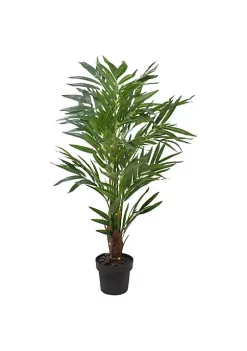 Best Pirce ✔️ Northlight 42" LED Lighted Potted Artificial Ravenea Palm Plant 🔥