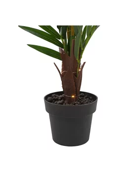Best Pirce ✔️ Northlight 42" LED Lighted Potted Artificial Ravenea Palm Plant 🔥 -Outlet Northlight Store Belk 872