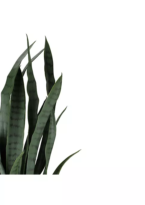 Best Pirce 🥰 Northlight 29" Potted Two Tone Green and Black Artificial Snake Plant ❤️ 5 Best Pirce 🥰 Northlight 29" Potted Two Tone Green and Black Artificial Snake Plant ❤️ - Image 3