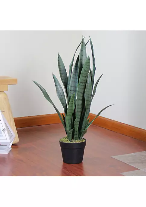 Best Pirce 🥰 Northlight 29" Potted Two Tone Green and Black Artificial Snake Plant ❤️ 6 Best Pirce 🥰 Northlight 29" Potted Two Tone Green and Black Artificial Snake Plant ❤️ - Image 4