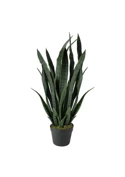 Best Pirce 🥰 Northlight 29" Potted Two Tone Green and Black Artificial Snake Plant ❤️ 11 Best Pirce 🥰 Northlight 29" Potted Two Tone Green and Black Artificial Snake Plant ❤️ -Outlet Northlight Store Belk 888