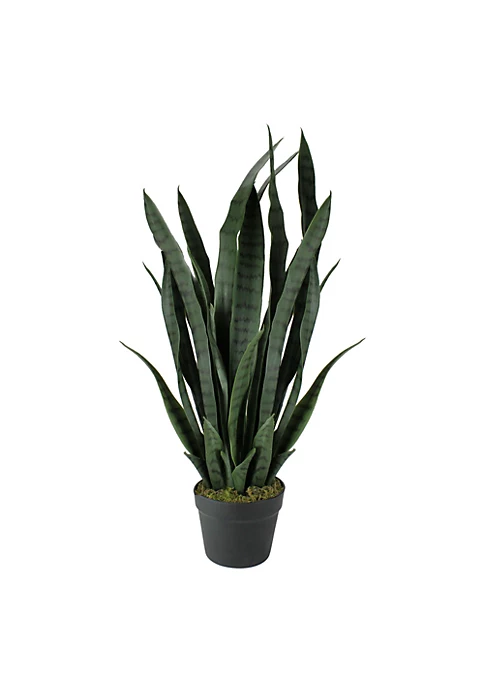Best Pirce 🥰 Northlight 29" Potted Two Tone Green and Black Artificial Snake Plant ❤️ 7 Best Pirce 🥰 Northlight 29" Potted Two Tone Green and Black Artificial Snake Plant ❤️ - Image 5