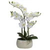 New ❤️ Northlight 22" Artificial White and Yellow Orchid Plant With a White Oval Pot Tabletop Decor ⭐ -Outlet Northlight Store Belk 893