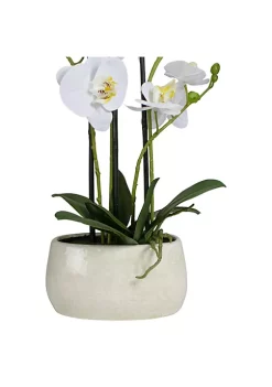 New ❤️ Northlight 22" Artificial White and Yellow Orchid Plant With a White Oval Pot Tabletop Decor ⭐ -Outlet Northlight Store Belk 895