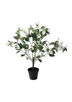 Best Sale ⭐ Northlight 32.5" White and Black Potted Artificial Lily Magnolia Flowering Tree 🛒 -Outlet Northlight Store Belk 968