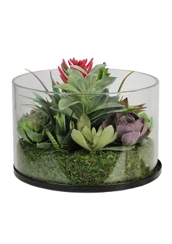 Cheapest 💯 Northlight 8" Artificial Mixed Succulent Arrangement in Round Glass Jar 💯