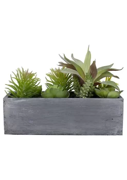 Best Pirce 🎁 Northlight 12" Artificial Mixed Succulent Plants in a Rectangular Planter ❤️