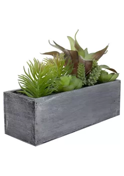 Best Pirce 🎁 Northlight 12" Artificial Mixed Succulent Plants in a Rectangular Planter ❤️ -Outlet Northlight Store Belk 996