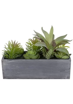 Best Pirce 🎁 Northlight 12" Artificial Mixed Succulent Plants in a Rectangular Planter ❤️ -Outlet Northlight Store Belk 997